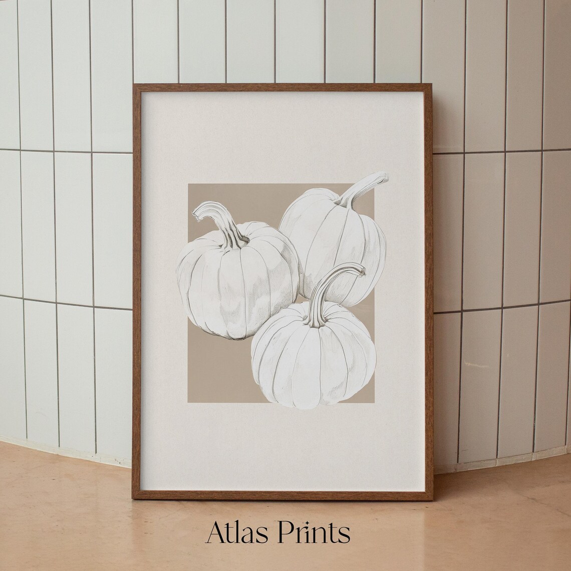 Three White Pumpkins Pencil Sketch Minimalist Neutral Fall Autumn Poster