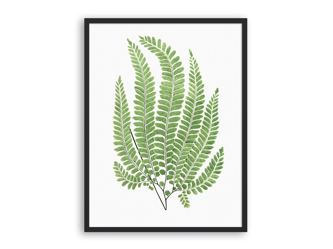 Green Fern Fronds Watercolor Botanical Illustration Art Print