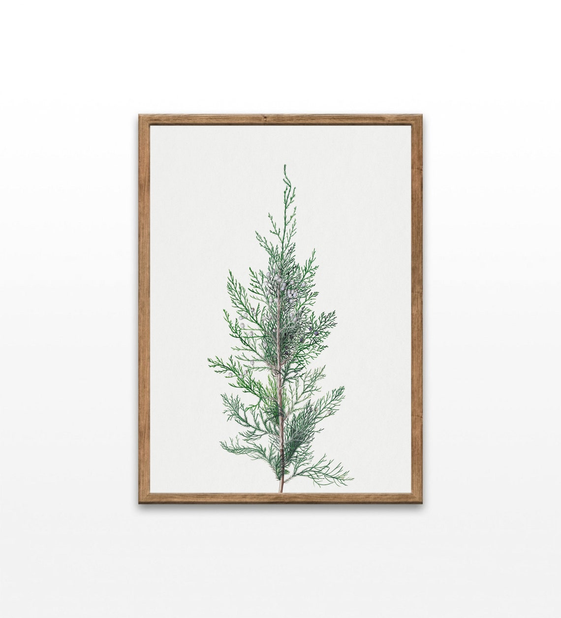 Vintage Juniper Prints Pine Trees In Art Paintings Of Tree Lake House Wall Decor Wall Art