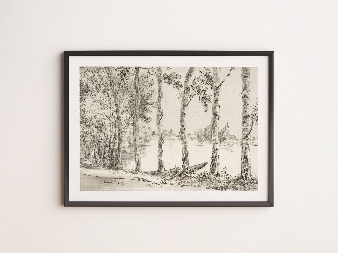 Poplars Trees Antique Etching Art Print, Minimalist - Image 4