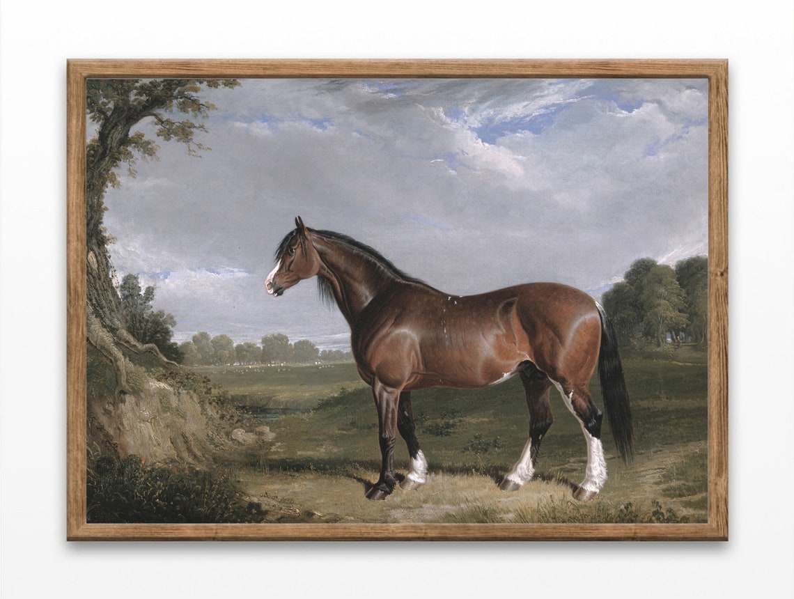 Bay Horse Standing Alone In Open Meadow Vintage Equestrian Art Poster