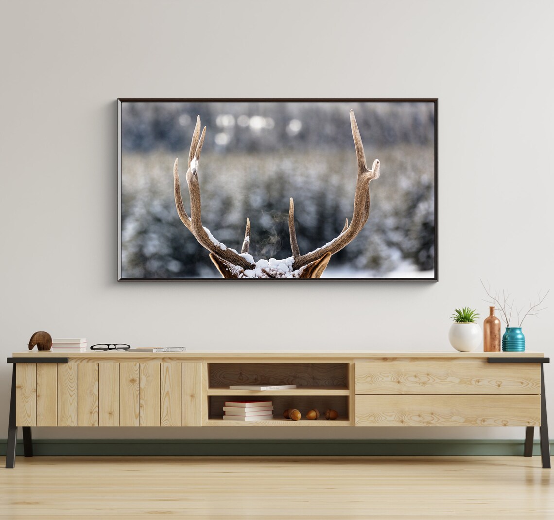 Snow Covered Elk Antlers Close Up Frosty Winter Wildlife Detail Poster