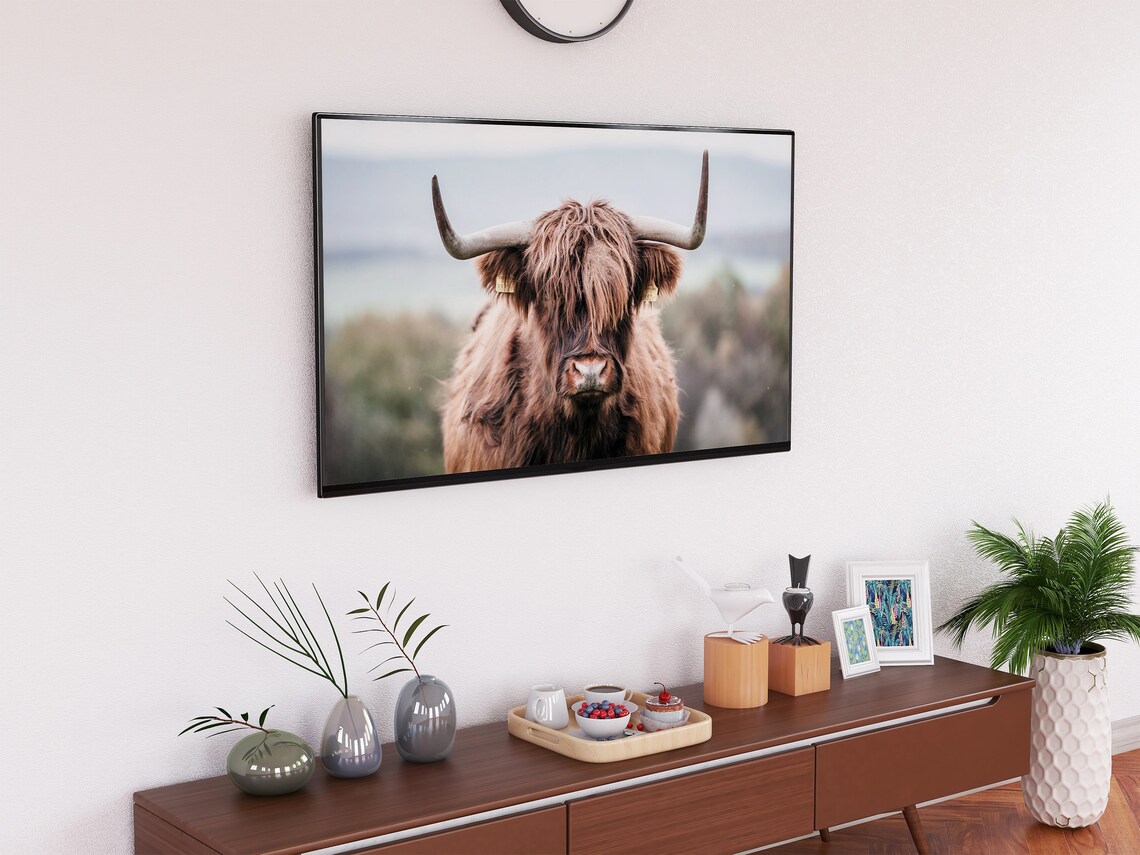 Highland Cow Photo Art, Farm Animal Poster Print - Image 2