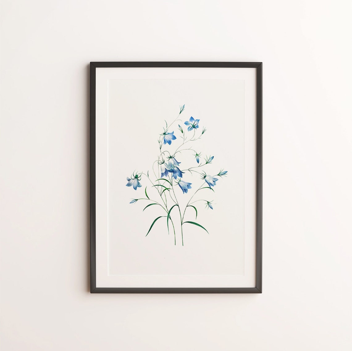 Blue Bell Wildflower Botanical Illustration Vintage Flower Art Print - Image 3