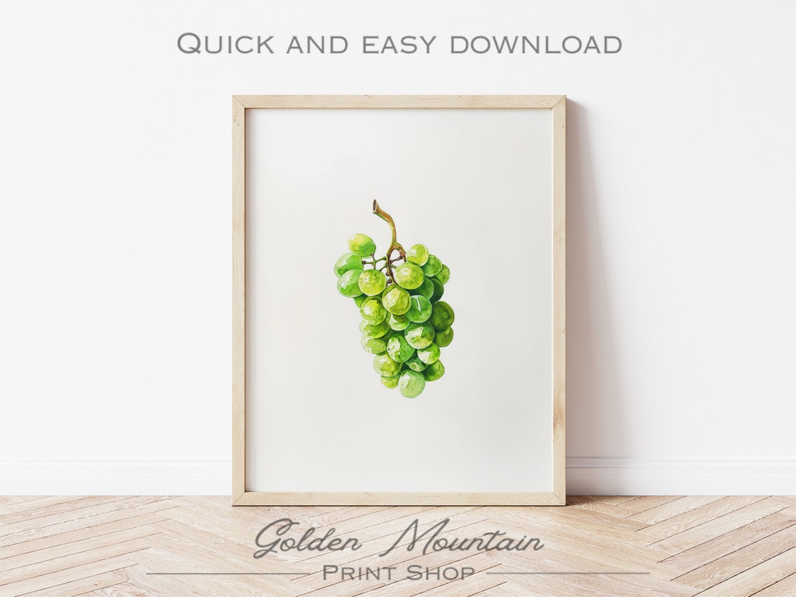 Watercolor Green Grape Cluster On White Minimalist Botanical Poster - Image 3