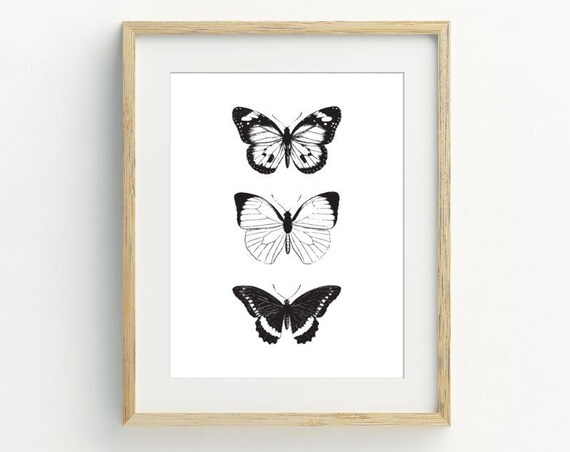 Butterflies Monochrome Butterfly Art Print, Minimalist