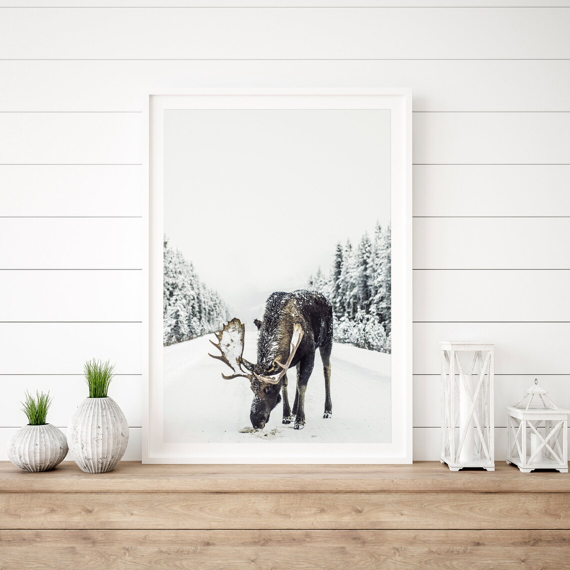 Moose Bull Snowy Winter Forest Road Wildlife Photography Poster - Image 3
