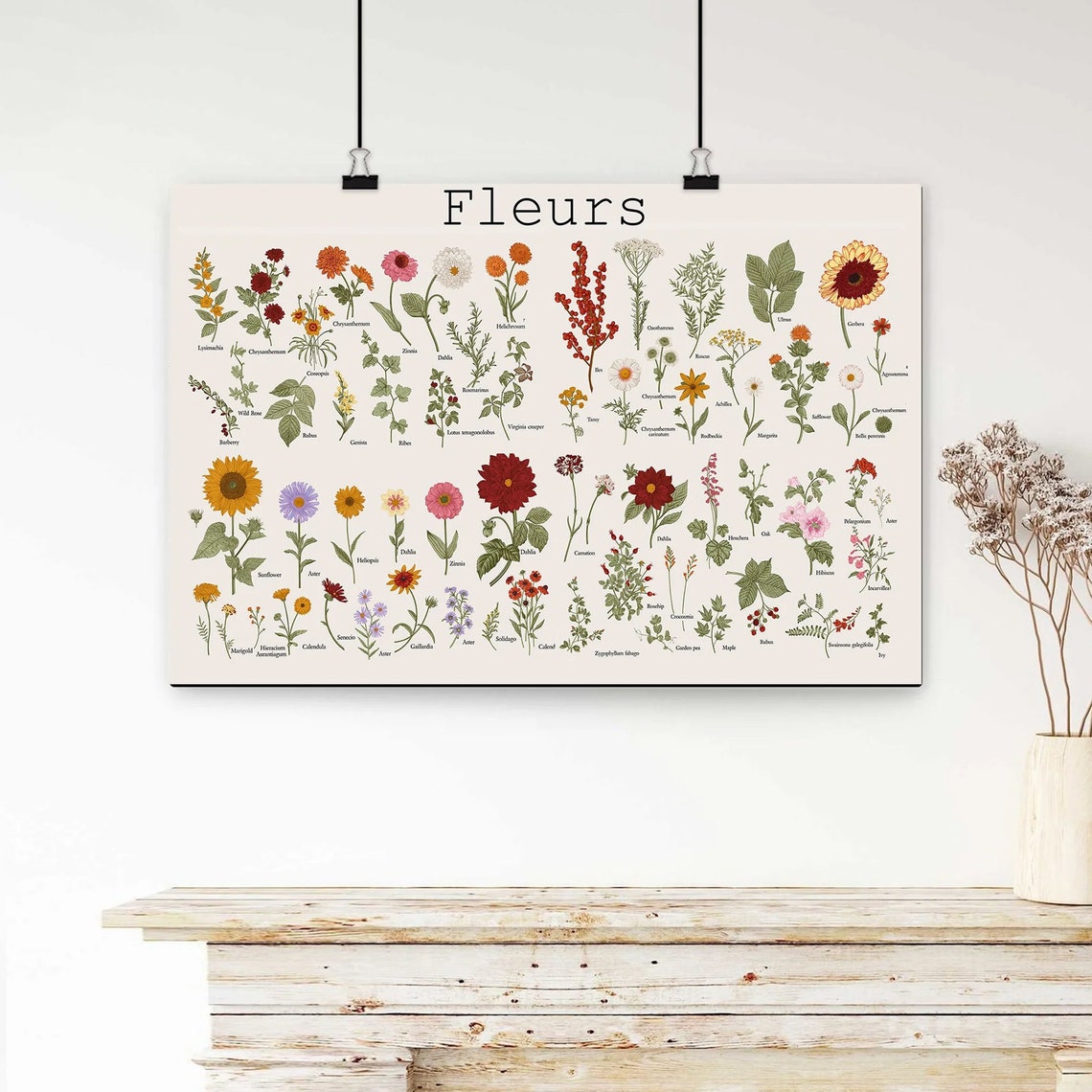 Fleurs Vintage French Botanical Flower Chart Educational Poster - Image 3