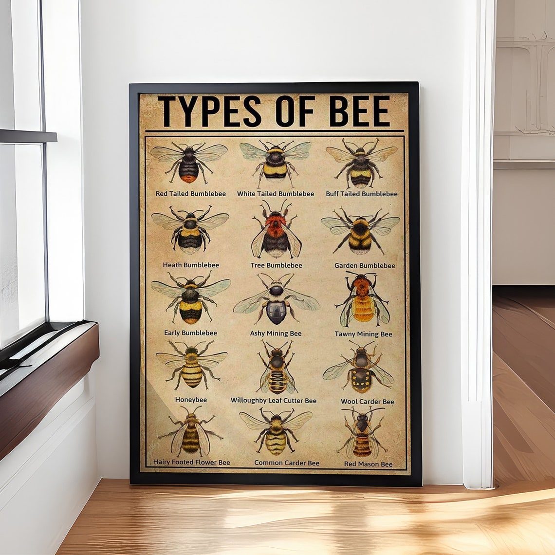 Types Of Bee Retro Nostalgic Poster