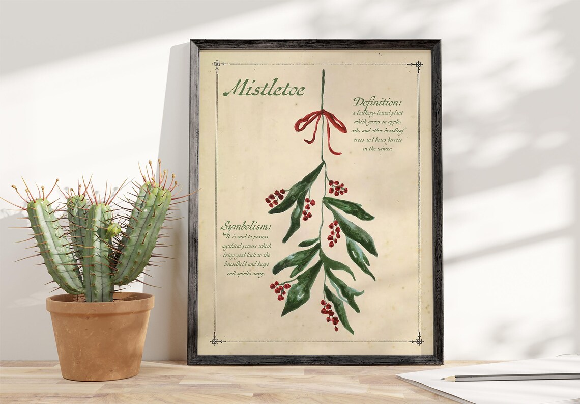 Mistletoe Botanical Definition Red Bow Vintage Christmas Plant Poster