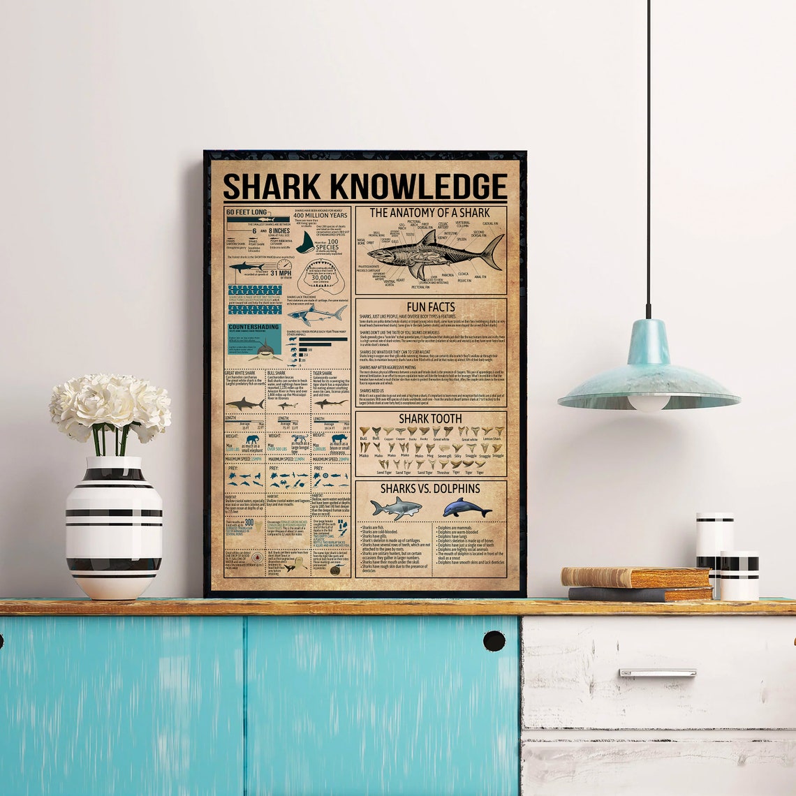 Shark Knowledge Anatomy Fun Facts Teeth Vintage Chart Poster - Image 4