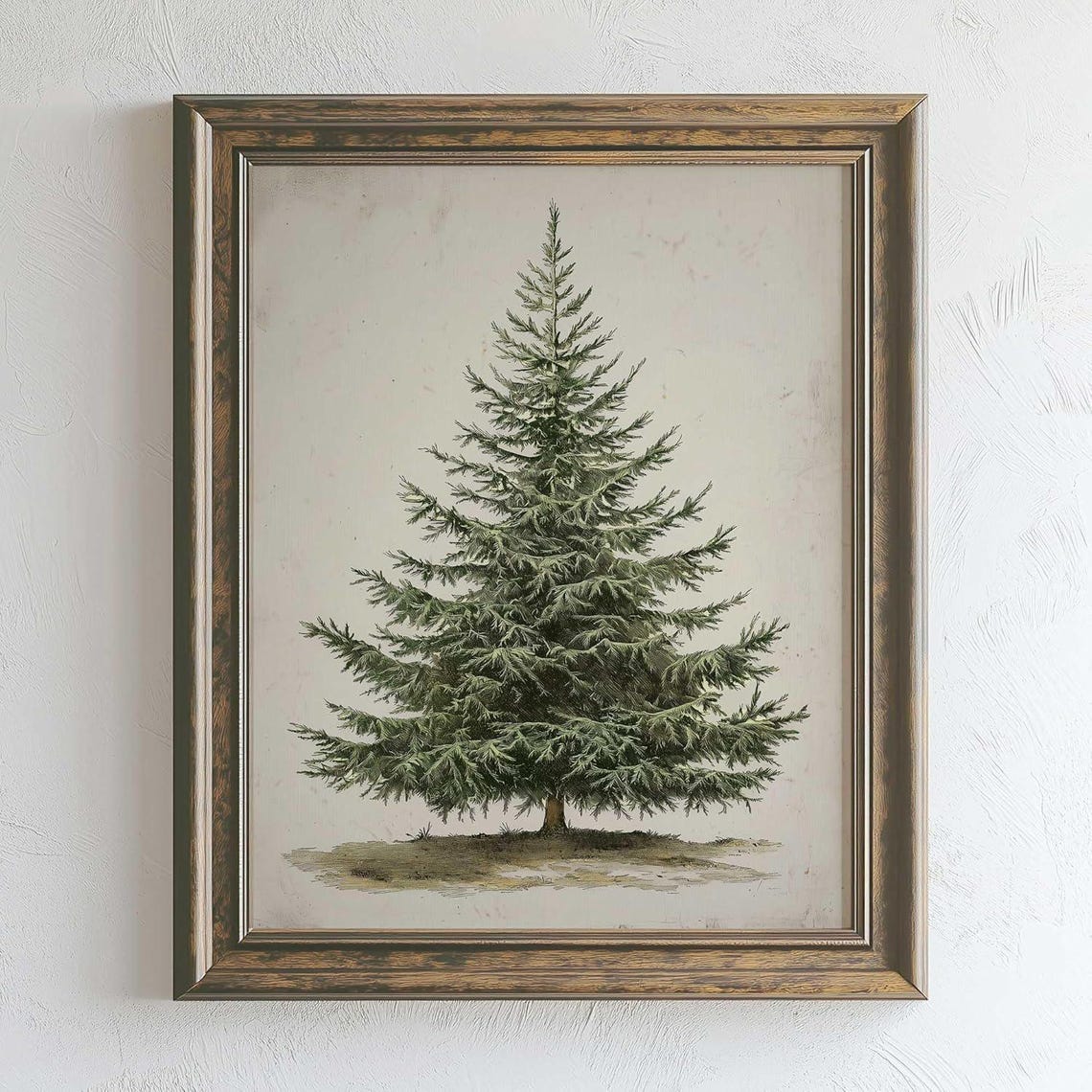 Vintage Evergreen Pine Tree Botanical Study Farmhouse Wall Poster