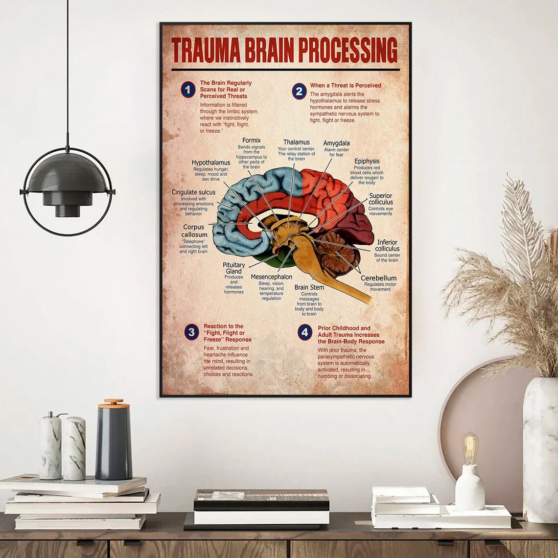 Trauma Brain Processing Poster, Mental Health Guidance - Image 4