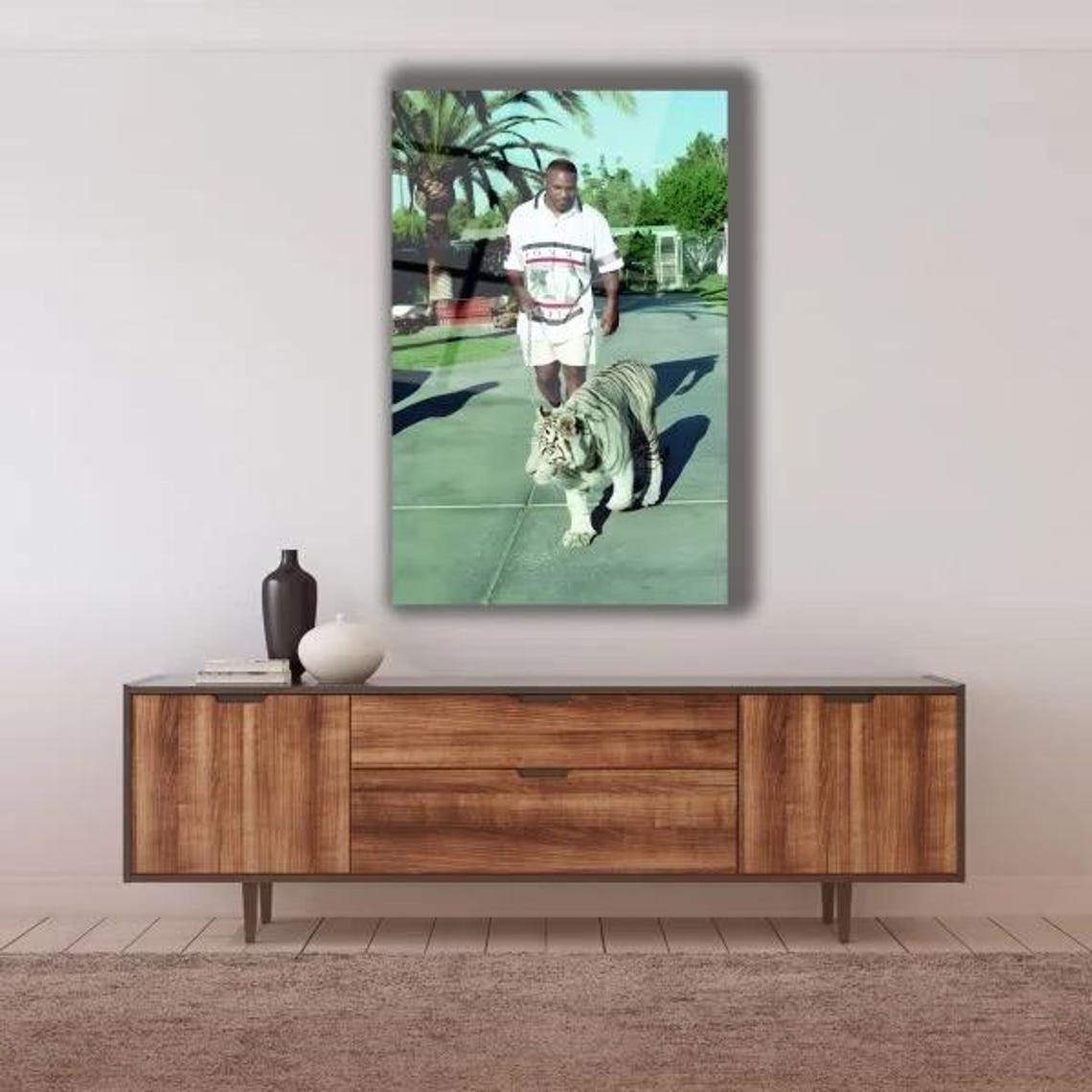 Man Walking With White Tiger Rare Wildlife Encounter Photo Poster