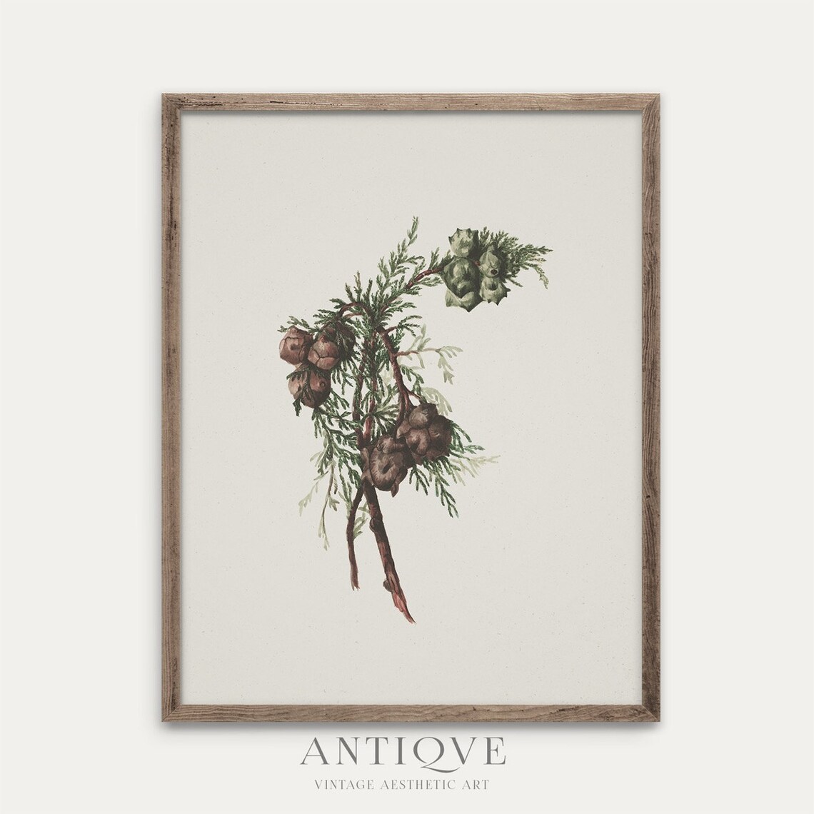 Winter Branch Christmas Botanical Art Print - Image 2
