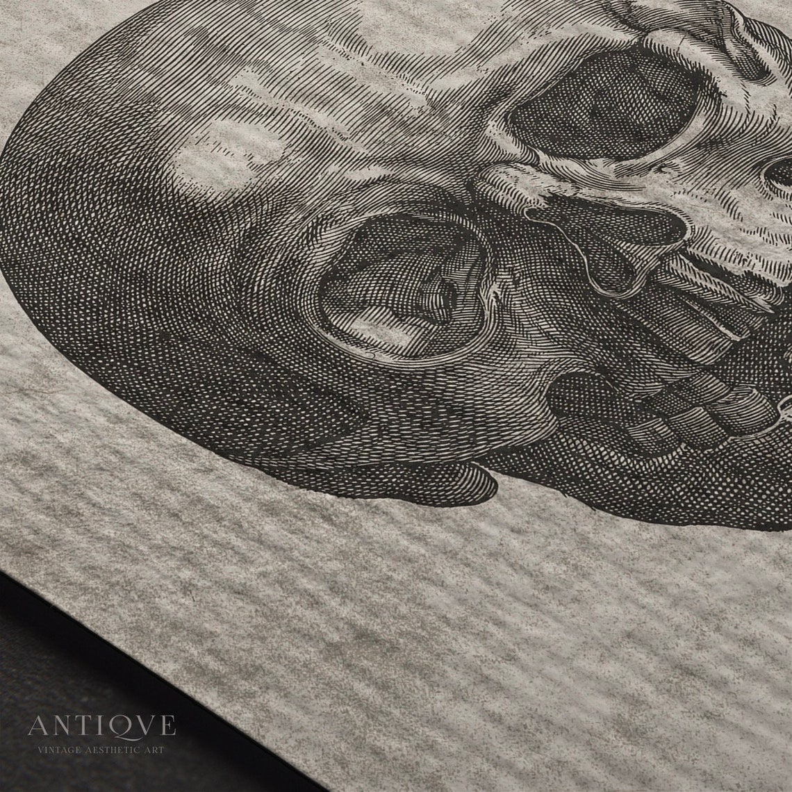 Antique Anatomical Skull Engraving Vintage Science Illustration Print - Image 3