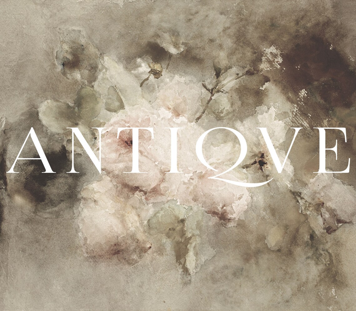 Antique Pink and White Flowers Soft Watercolor Floral Art Print - Image 4