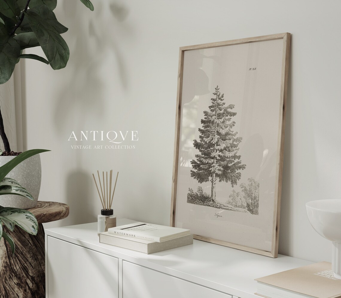 Vintage Tree Sketch, Botanical Art Print - Image 4