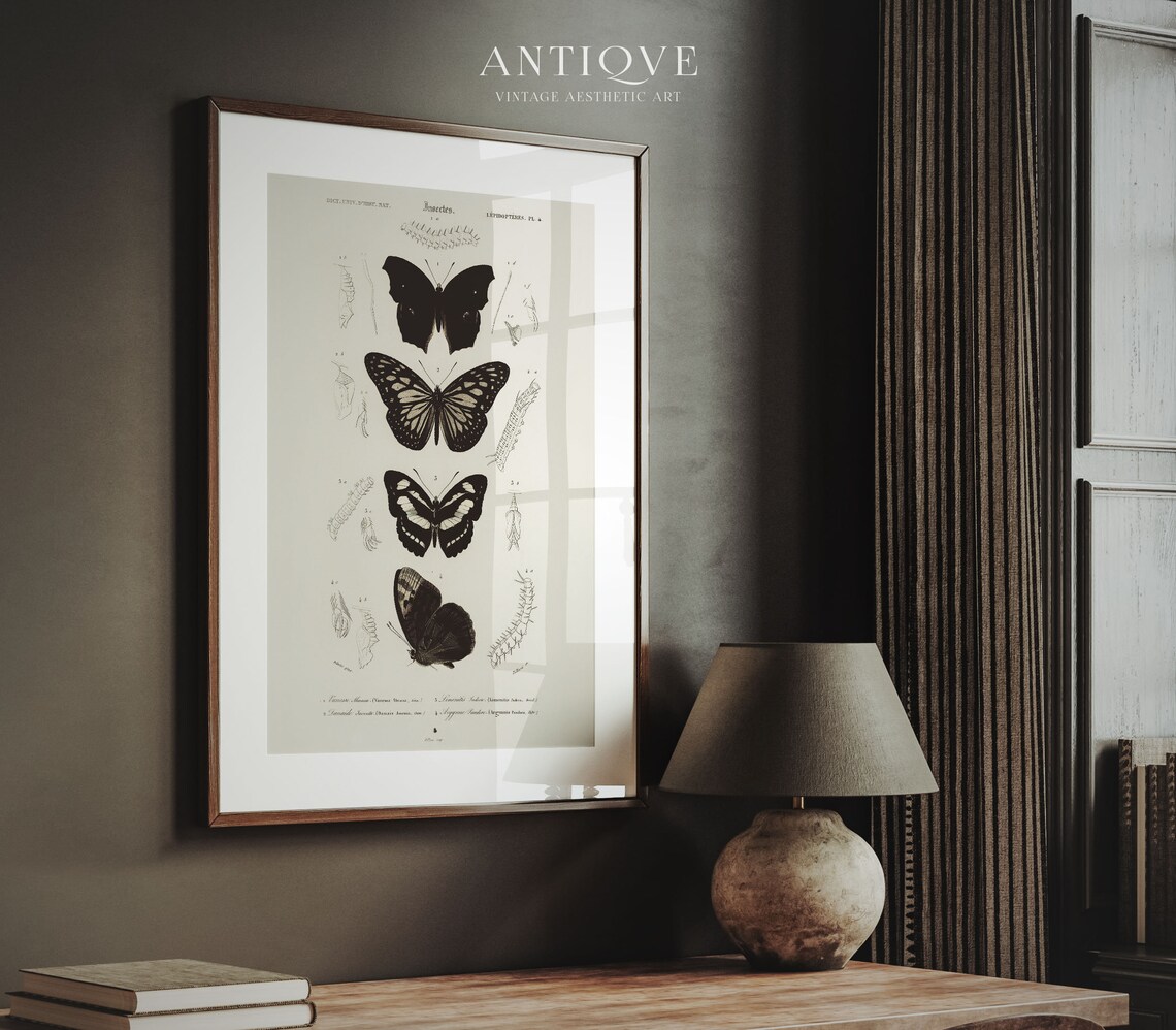 Vintage Butterflies and Moths, Victorian Cottagecore Art Print - Image 2