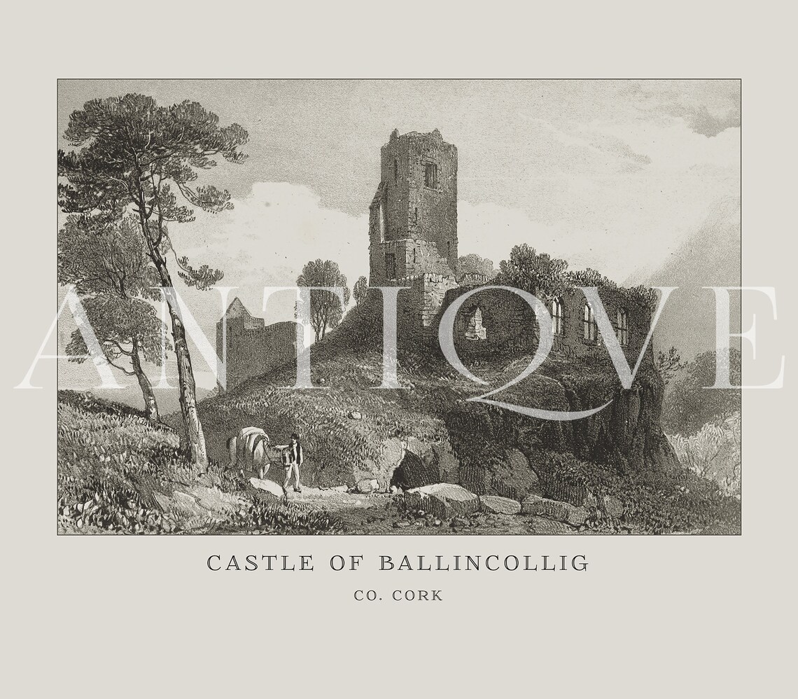 Castle Of Ballincollig Co Cork Ireland Antique Engraving Poster - Image 3