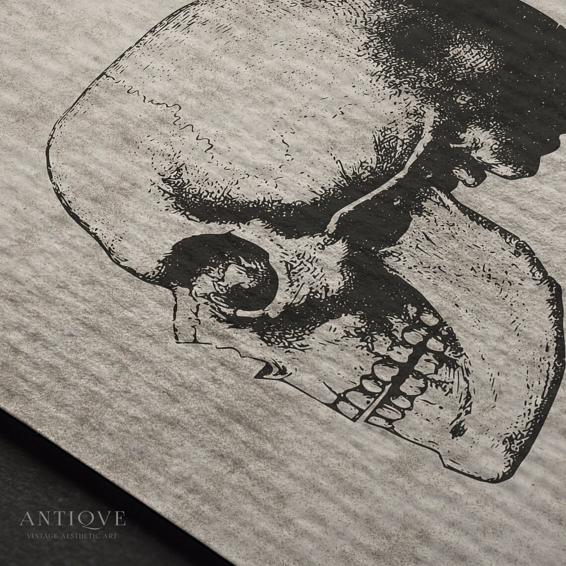 Vintage Skull Sketch, Neutral Halloween Gothic Print - Image 3