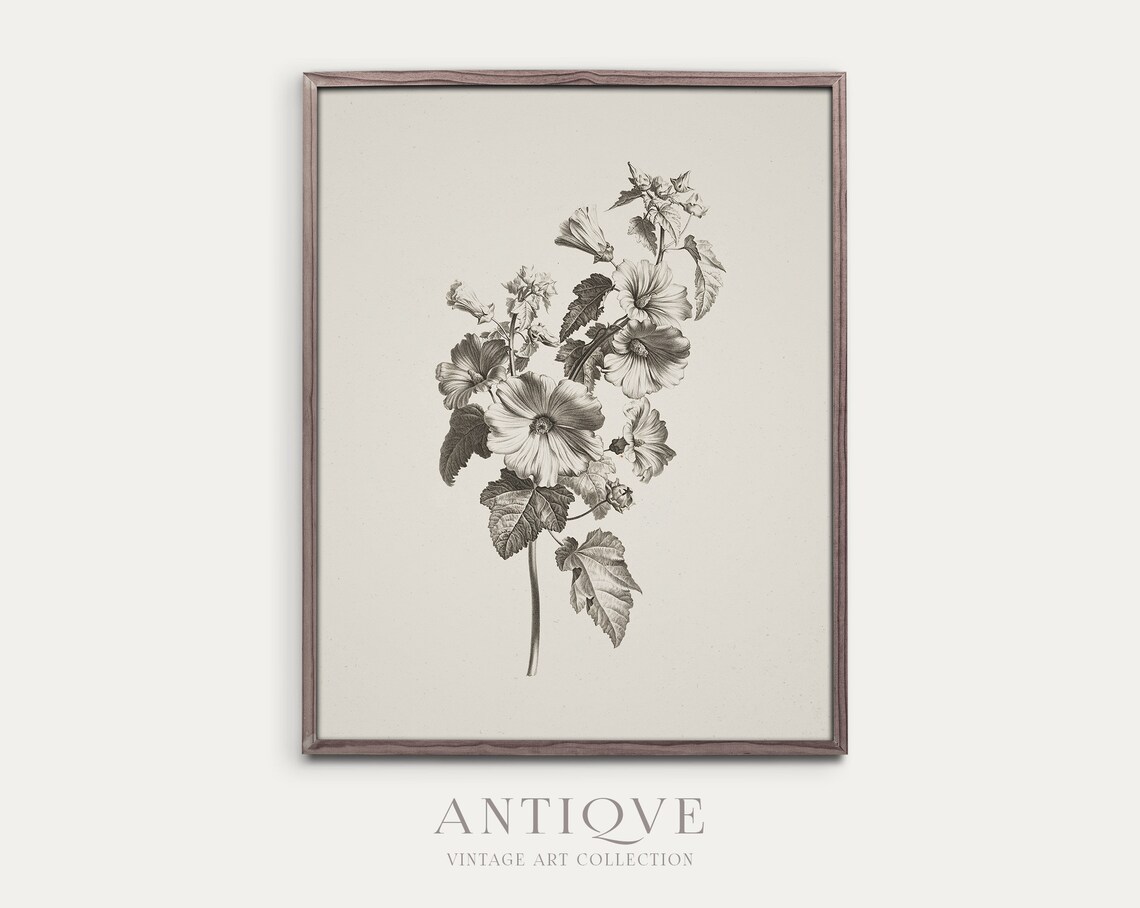Vintage Flower Sketch Botanical Art Print