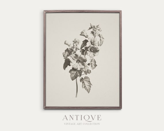 Vintage Flower Sketch Botanical Art Print