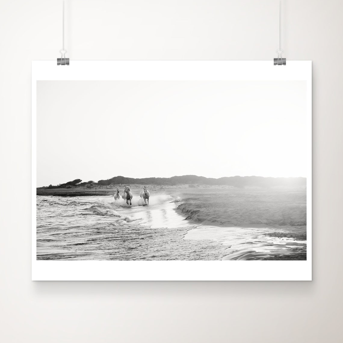 Camargue White Horses Galloping Surf Black White Photo Poster
