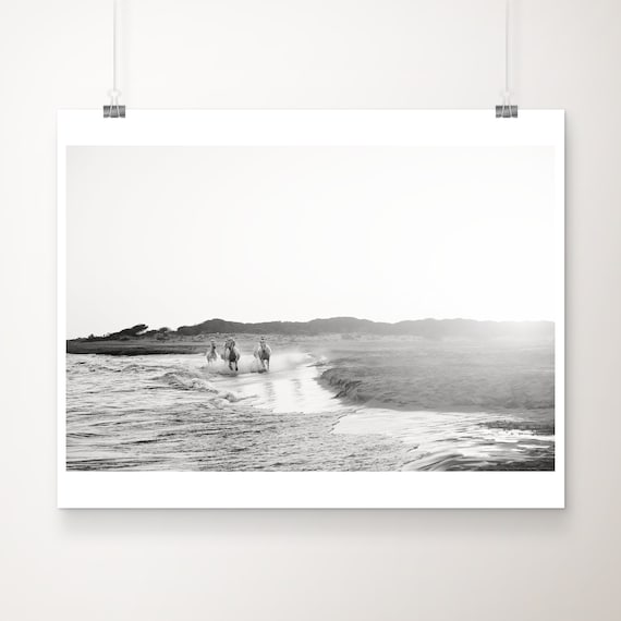 Camargue White Horses Galloping Surf Black White Photo Poster