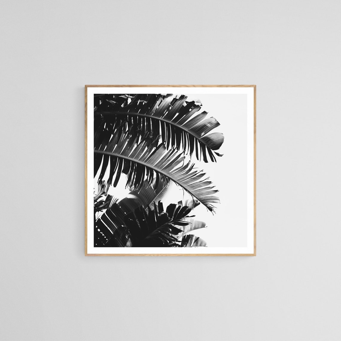 Palm Tree Black And White Photo, Tropical Print