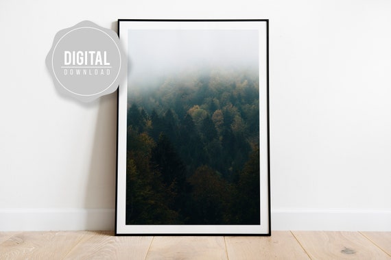 Forest Wall Decor Art Print 2 I Wall Art I Livingroom Decor I Fine Photography I Plitvice Croatia