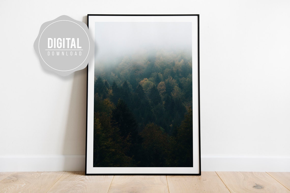 Misty Fog Over Dark Evergreen Forest Treetops Fine Art Poster