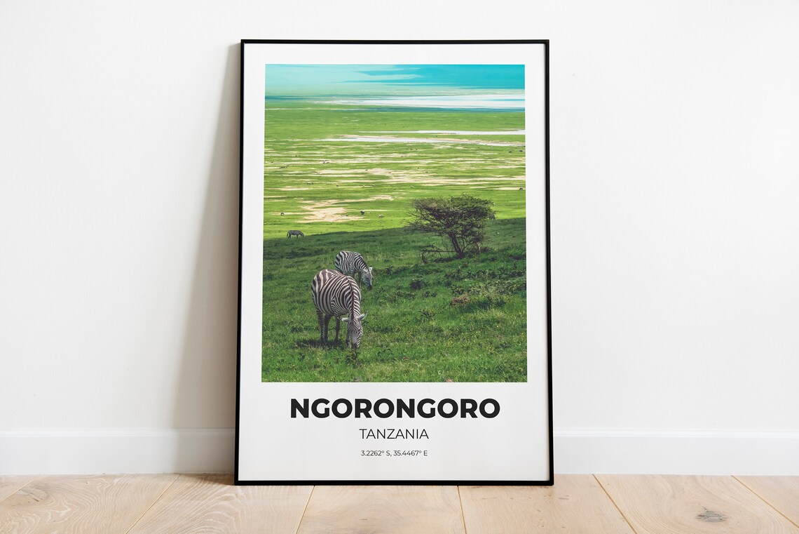 Ngorongoro Tanzania Zebras Grazing Crater Savanna Photo Poster