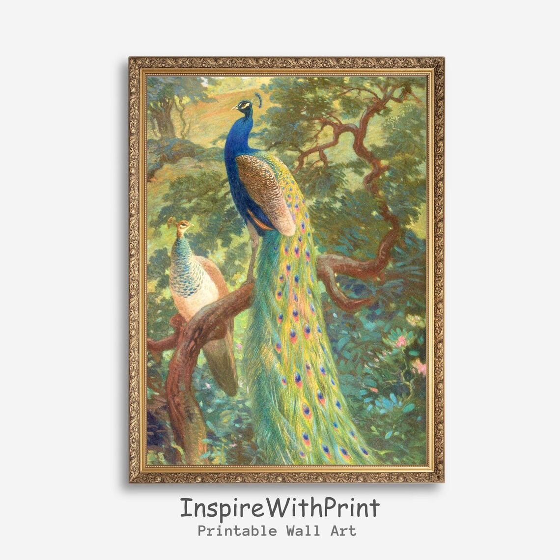 Vintage Peacock and Peahen Perched in Garden Classic Art Poster