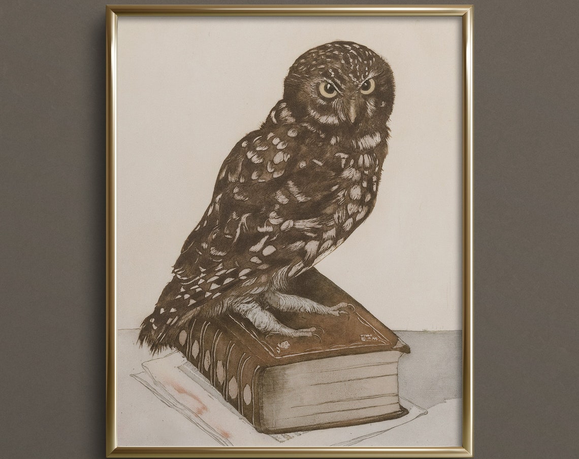 Study Buddy Moody Wall Art Dark Academia Art Prints Dark Art Print Da41