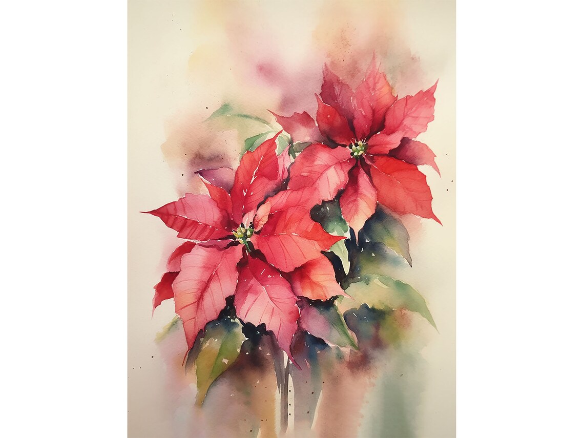 Poinsettia Watercolor Christmas Flower Art Print