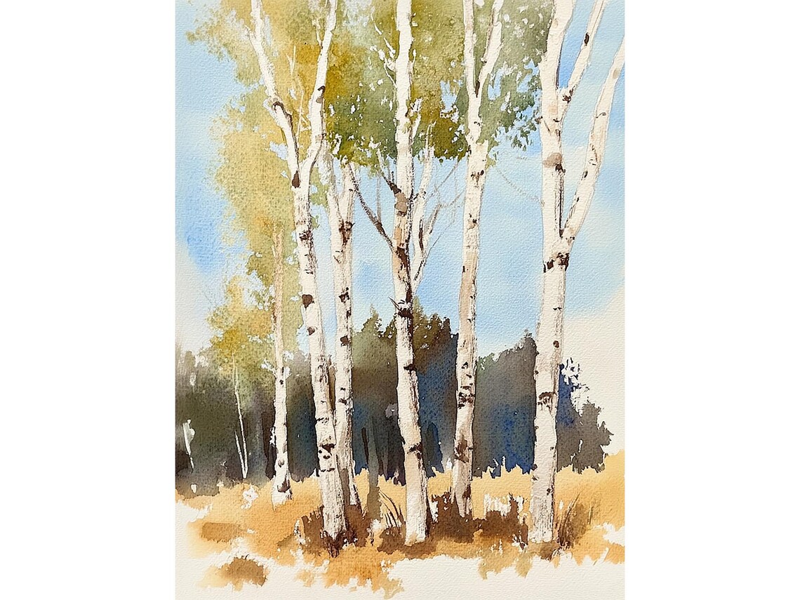 White Birch Trees Standing in a Golden Autumn Meadow Watercolor Poster