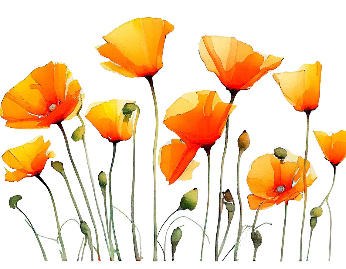 California Poppy Watercolor Print, Neutral Floral Art