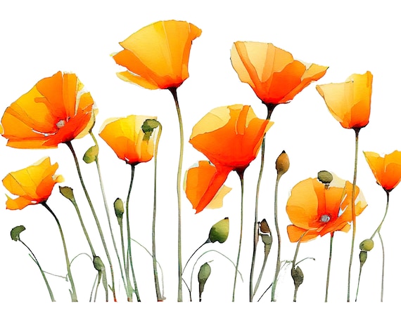 California Poppy Watercolor Print, Neutral Floral Art
