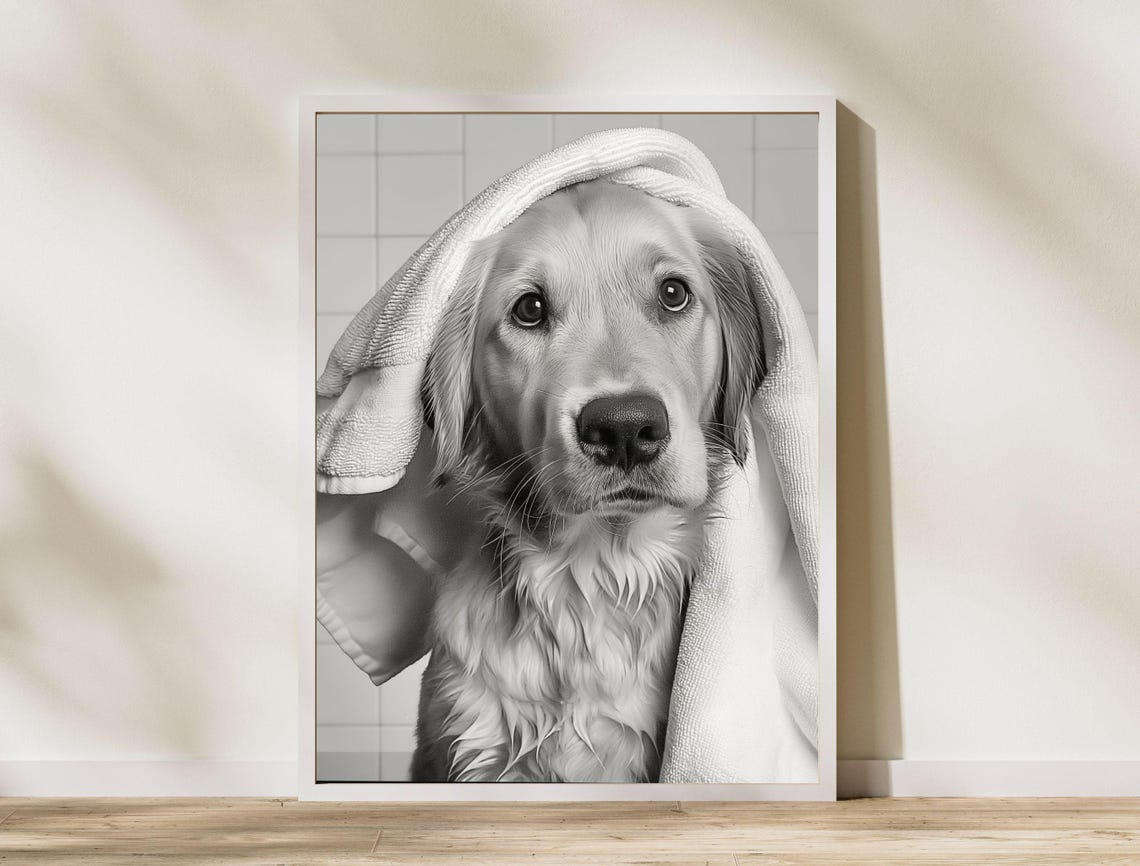 Golden Retriever Puppy With Towel On Head Black And White Dog Poster - Image 8