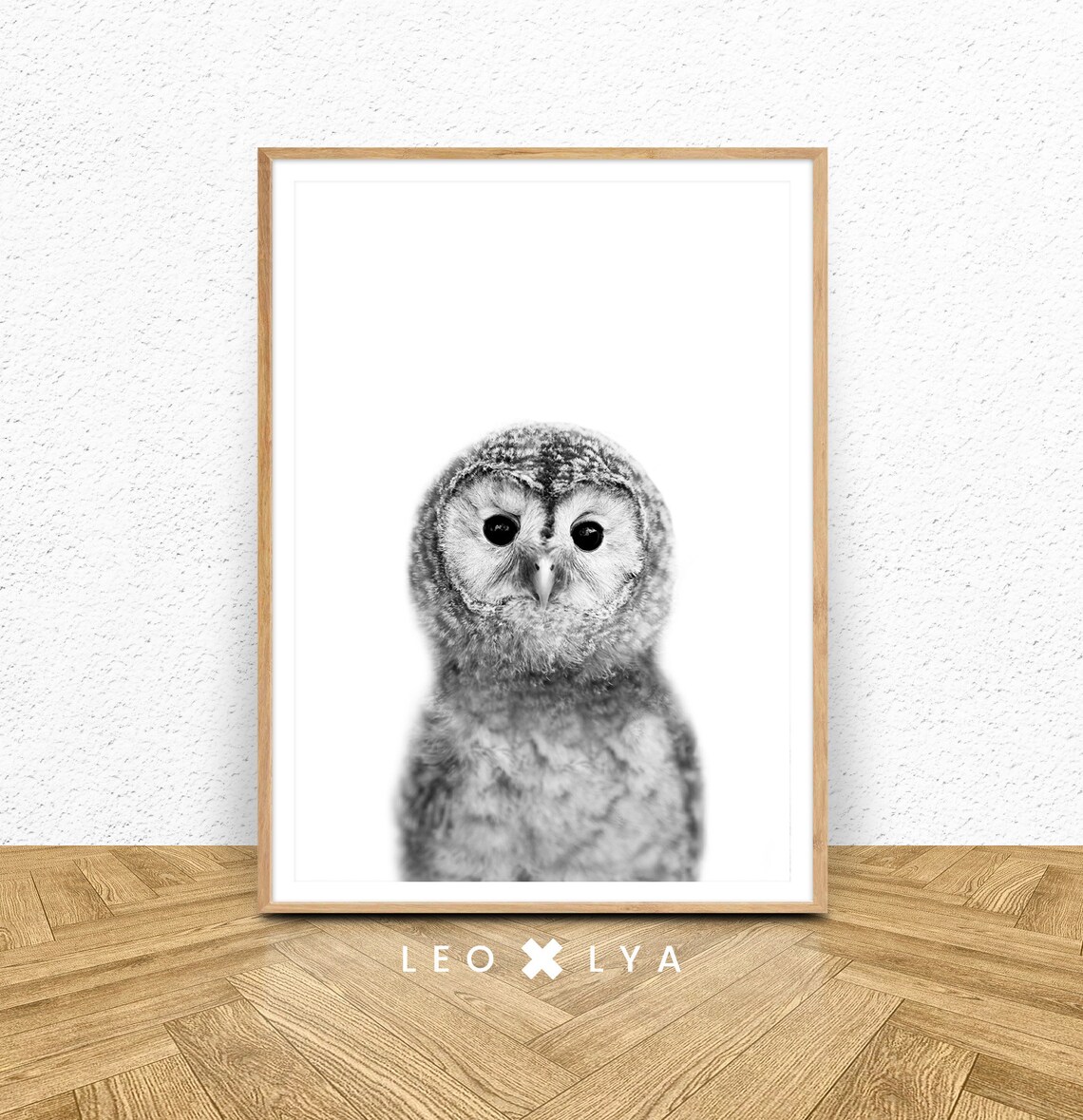 Baby Owl Black and White Nursery Portrait Cute Animal Photo Poster