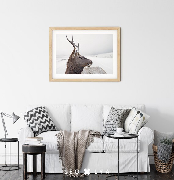 Deer In Snow Winter Wildlife Photography Majestic Animal Wall Art