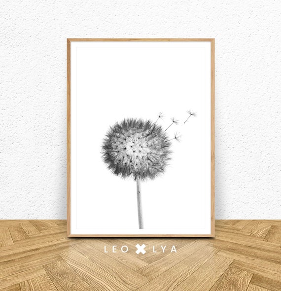 Dandelion Print, Bohemian Black and White Wall Art