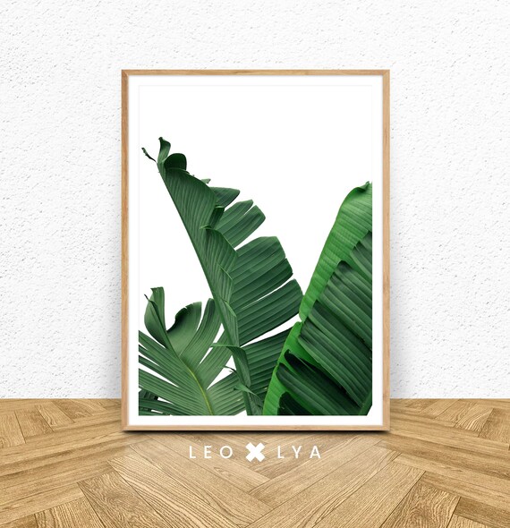 Banana Leaf Wall Art Palm Print Tropical Wall Art Print Botanical Print Palm Poster Nature Print Green Leaf Print Greenery Print