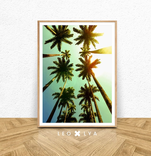Sunlit Palm Trees Looking Up Tropical Photo Poster for Summer Wall Decor