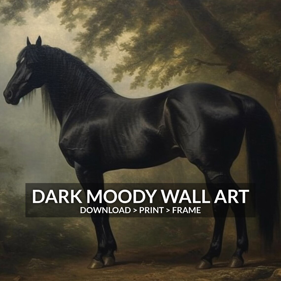 Antique Black Horse Wall Art Print, Rustic Farmhouse - Image 6