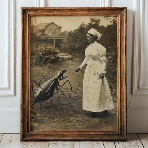 Giant Insect And Victorian Lady Fantasy Print Odd Art For Wall Dark Academia Poster Quirky Gothic Surrealism