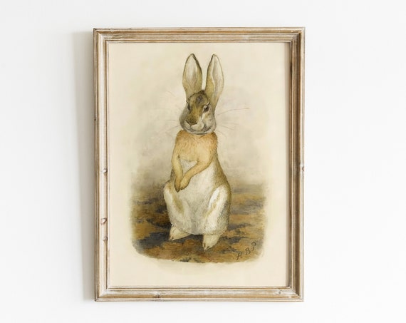 Original Beatrix Potter Illustration Of A Hare Vintage Animal Nursery Wall Art Print