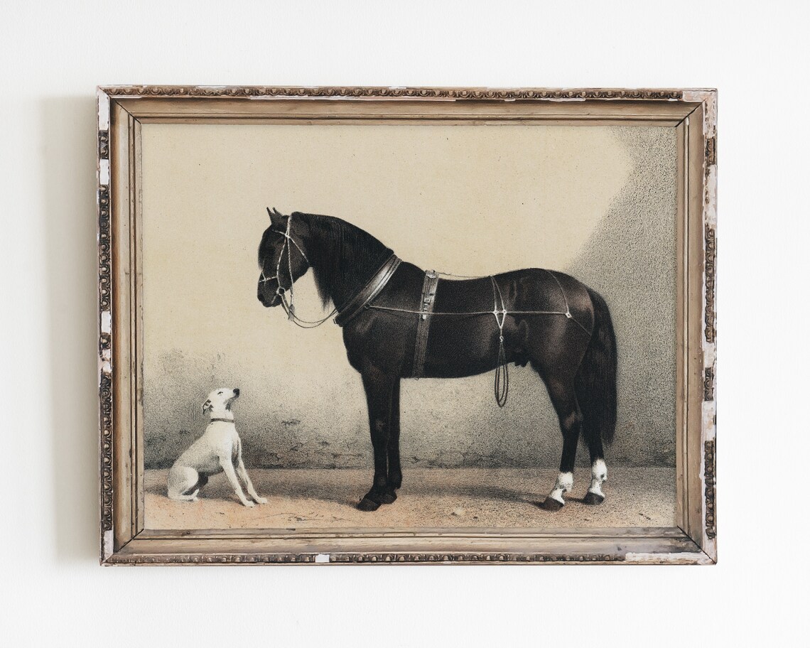 Vintage Dog and Horse Lithograph Poster Print