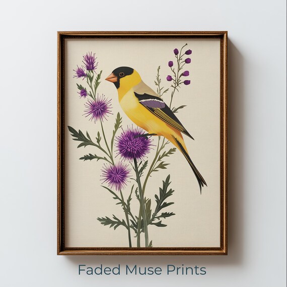 Goldfinch On Purple Thistle, Vintage Botanical Bird Art